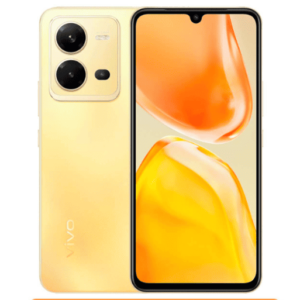 Vivo V25e